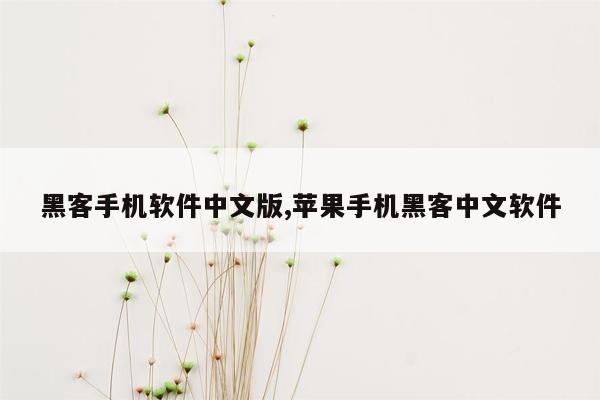 黑客手机软件中文版,苹果手机黑客中文软件