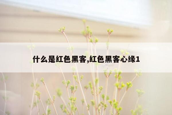 什么是红色黑客,红色黑客心缘1