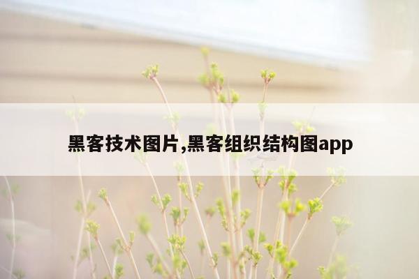 黑客技术图片,黑客组织结构图app