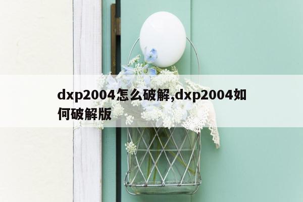 dxp2004怎么破解,dxp2004如何破解版