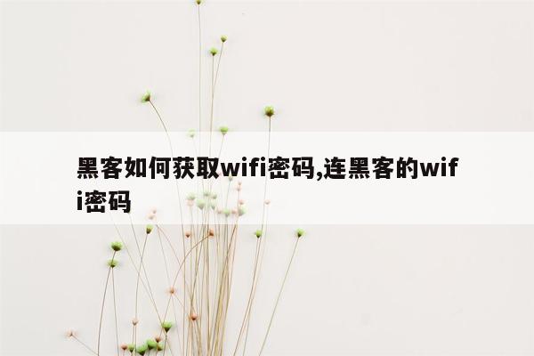 黑客如何获取wifi密码,连黑客的wifi密码