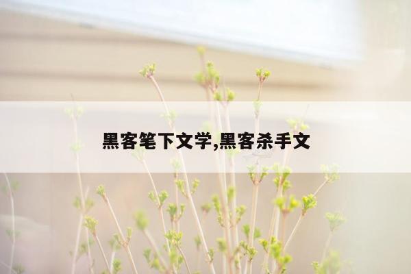 黑客笔下文学,黑客杀手文