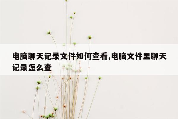 电脑聊天记录文件如何查看,电脑文件里聊天记录怎么查