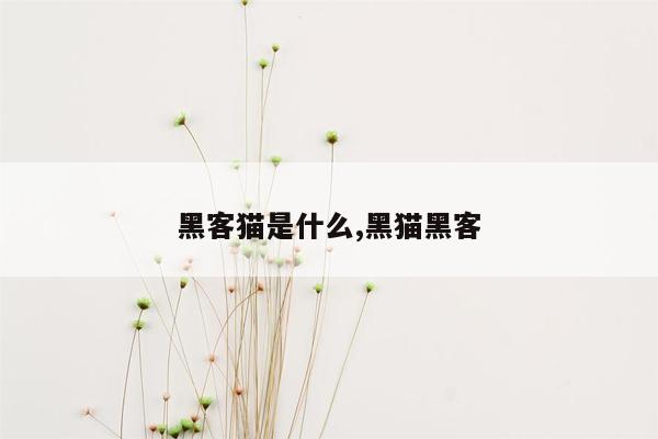 黑客猫是什么,黑猫黑客