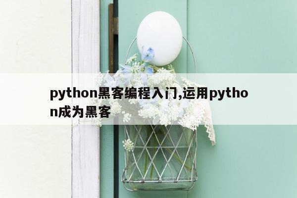 python黑客编程入门,运用python成为黑客