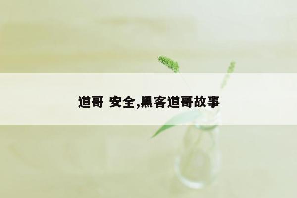 道哥 安全,黑客道哥故事