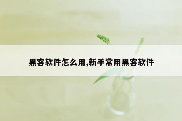 黑客软件怎么用,新手常用黑客软件