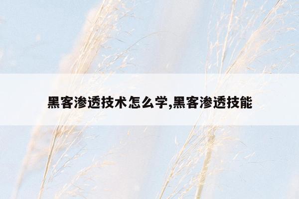 黑客渗透技术怎么学,黑客渗透技能