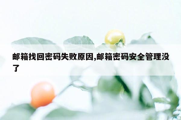 邮箱找回密码失败原因,邮箱密码安全管理没了