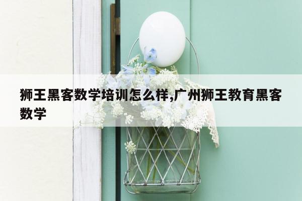 狮王黑客数学培训怎么样,广州狮王教育黑客数学