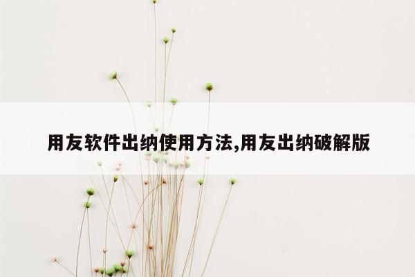 用友软件出纳使用方法,用友出纳破解版