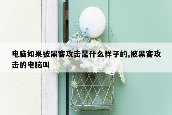 电脑如果被黑客攻击是什么样子的,被黑客攻击的电脑叫