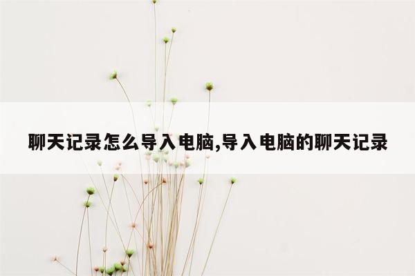 聊天记录怎么导入电脑,导入电脑的聊天记录