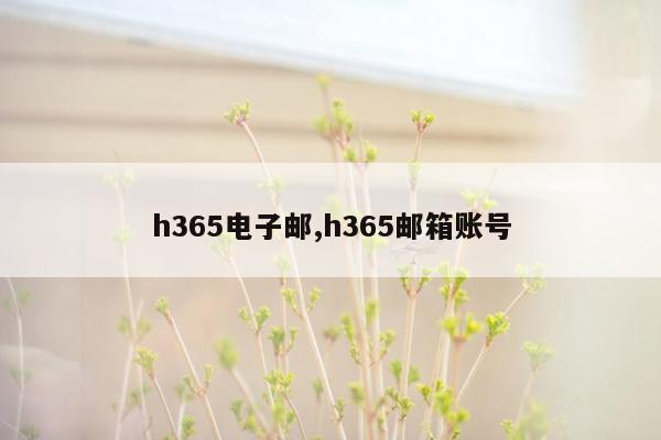 h365电子邮,h365邮箱账号