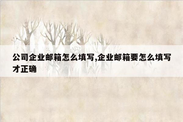 公司企业邮箱怎么填写,企业邮箱要怎么填写才正确