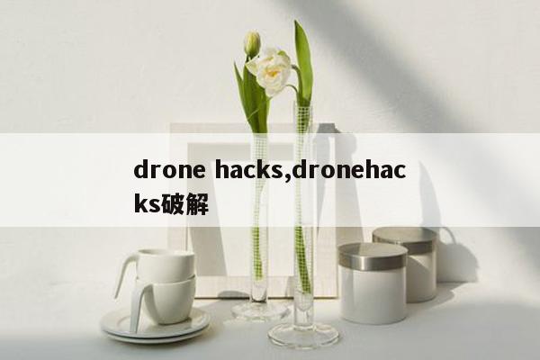 drone hacks,dronehacks破解