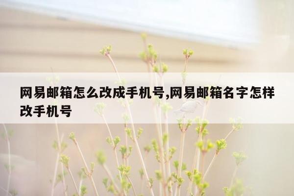 网易邮箱怎么改成手机号,网易邮箱名字怎样改手机号