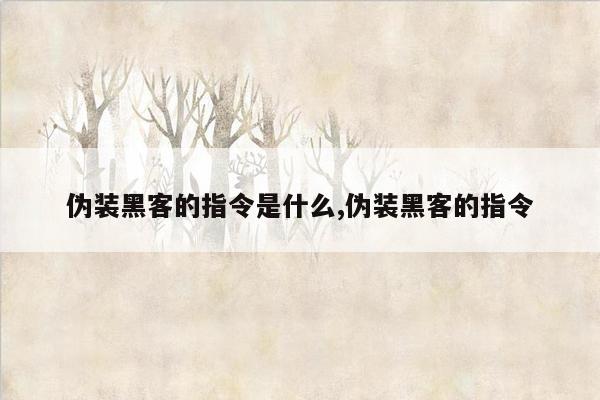 伪装黑客的指令是什么,伪装黑客的指令