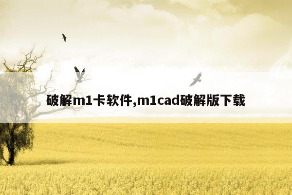 破解m1卡软件,m1cad破解版下载