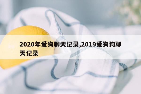 2020年爱狗聊天记录,2019爱狗狗聊天记录