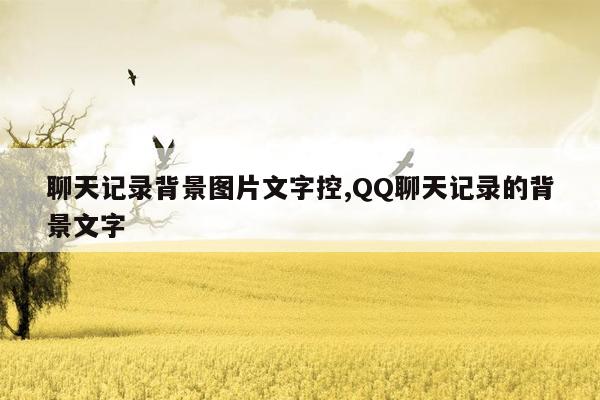 聊天记录背景图片文字控,QQ聊天记录的背景文字