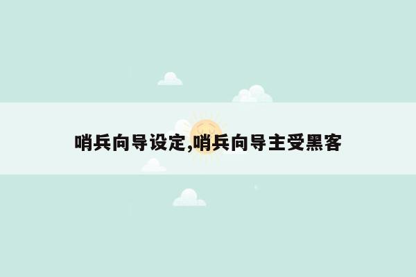 哨兵向导设定,哨兵向导主受黑客