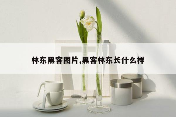 林东黑客图片,黑客林东长什么样