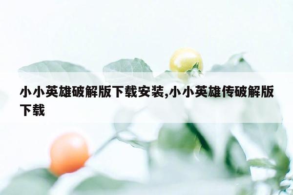 小小英雄破解版下载安装,小小英雄传破解版下载