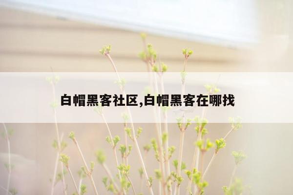 白帽黑客社区,白帽黑客在哪找