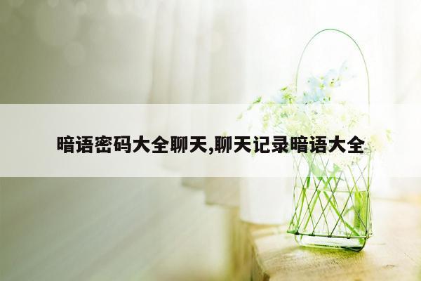 暗语密码大全聊天,聊天记录暗语大全