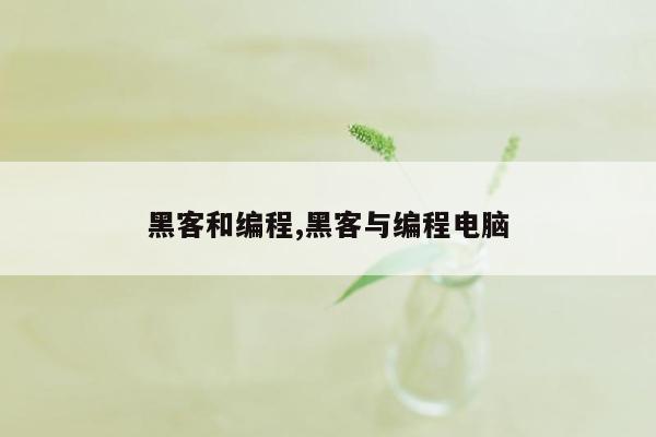 黑客和编程,黑客与编程电脑