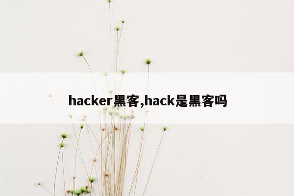 hacker黑客,hack是黑客吗