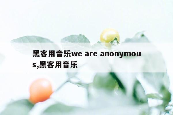 黑客用音乐we are anonymous,黑客用音乐