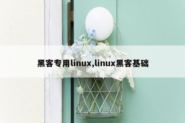 黑客专用linux,linux黑客基础