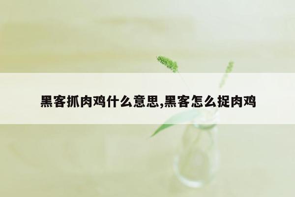 黑客抓肉鸡什么意思,黑客怎么捉肉鸡