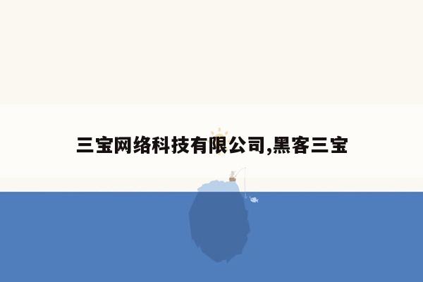 三宝网络科技有限公司,黑客三宝