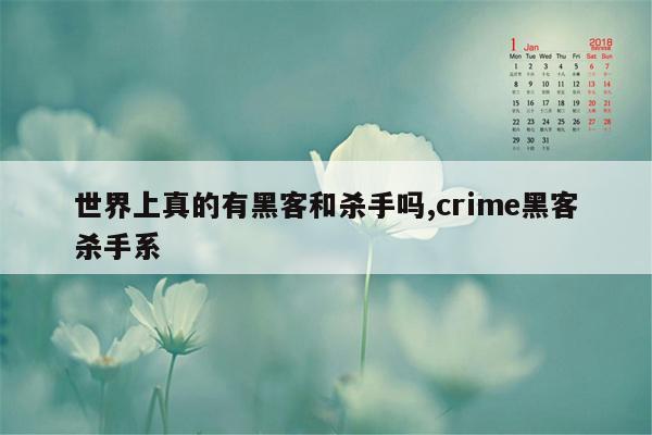 世界上真的有黑客和杀手吗,crime黑客杀手系