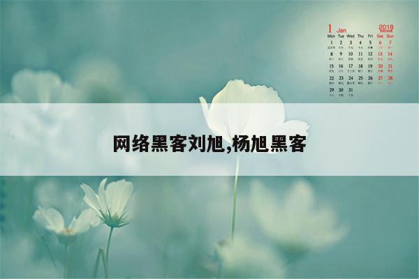 网络黑客刘旭,杨旭黑客