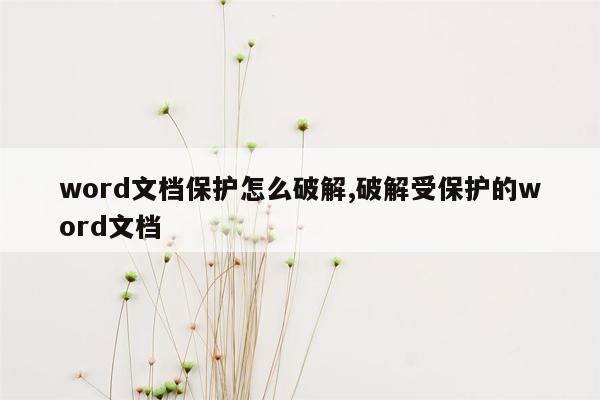 word文档保护怎么破解,破解受保护的word文档