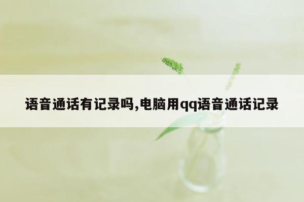 语音通话有记录吗,电脑用qq语音通话记录