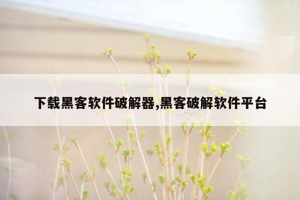 下载黑客软件破解器,黑客破解软件平台