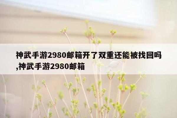 神武手游2980邮箱开了双重还能被找回吗,神武手游2980邮箱