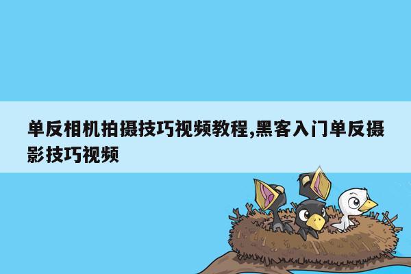 单反相机拍摄技巧视频教程,黑客入门单反摄影技巧视频