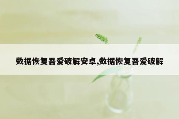 数据恢复吾爱破解安卓,数据恢复吾爱破解