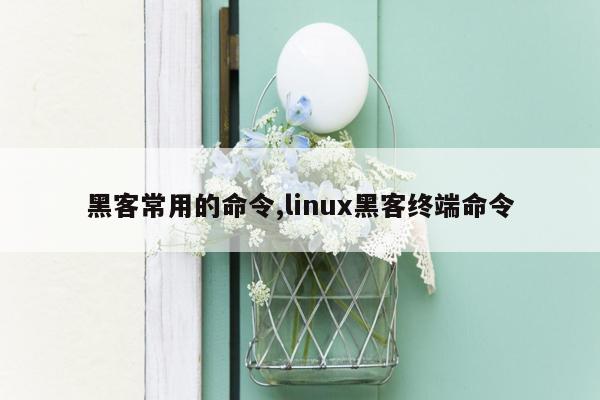 黑客常用的命令,linux黑客终端命令