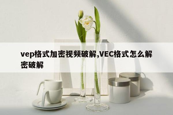 vep格式加密视频破解,VEC格式怎么解密破解