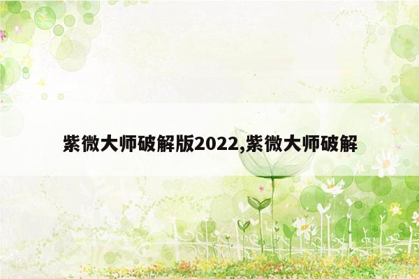 紫微大师破解版2022,紫微大师破解