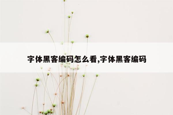 字体黑客编码怎么看,字体黑客编码