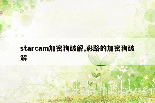 starcam加密狗破解,彩路的加密狗破解