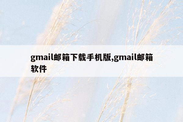 gmail邮箱下载手机版,gmail邮箱软件